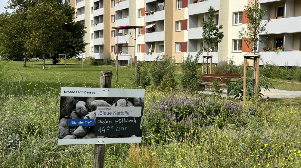 Willkommen in unserer Urbanen Farm