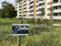 Willkommen in unserer Urbanen Farm