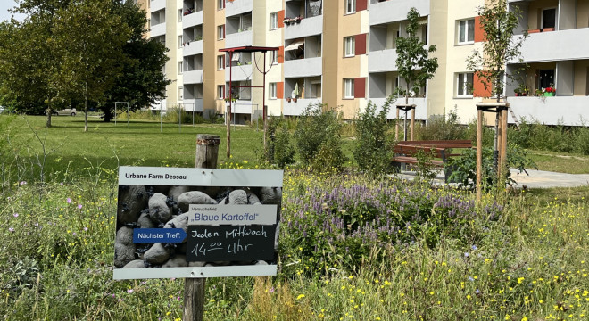 Willkommen in unserer Urbanen Farm